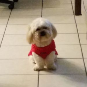 Meet your Posher, Aaron